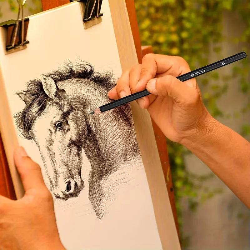 Brutfuner 18/29 Pro Juego de lápices de dibujo y bocetos de artista profesional con carbón, borradores, sacapuntas y tocones